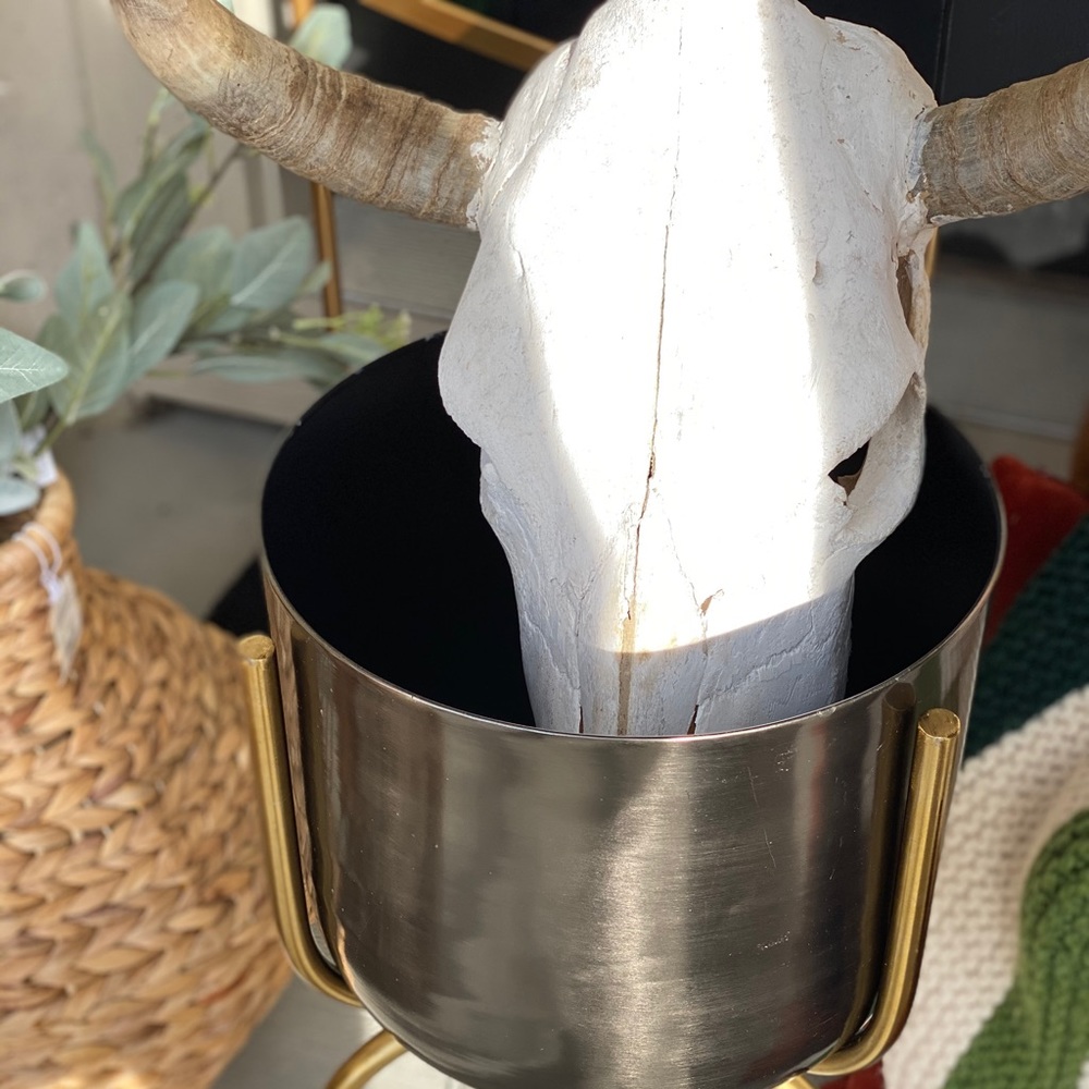 🌿⚪️⚫️Amazing Authentic Skull! Boho Babes!